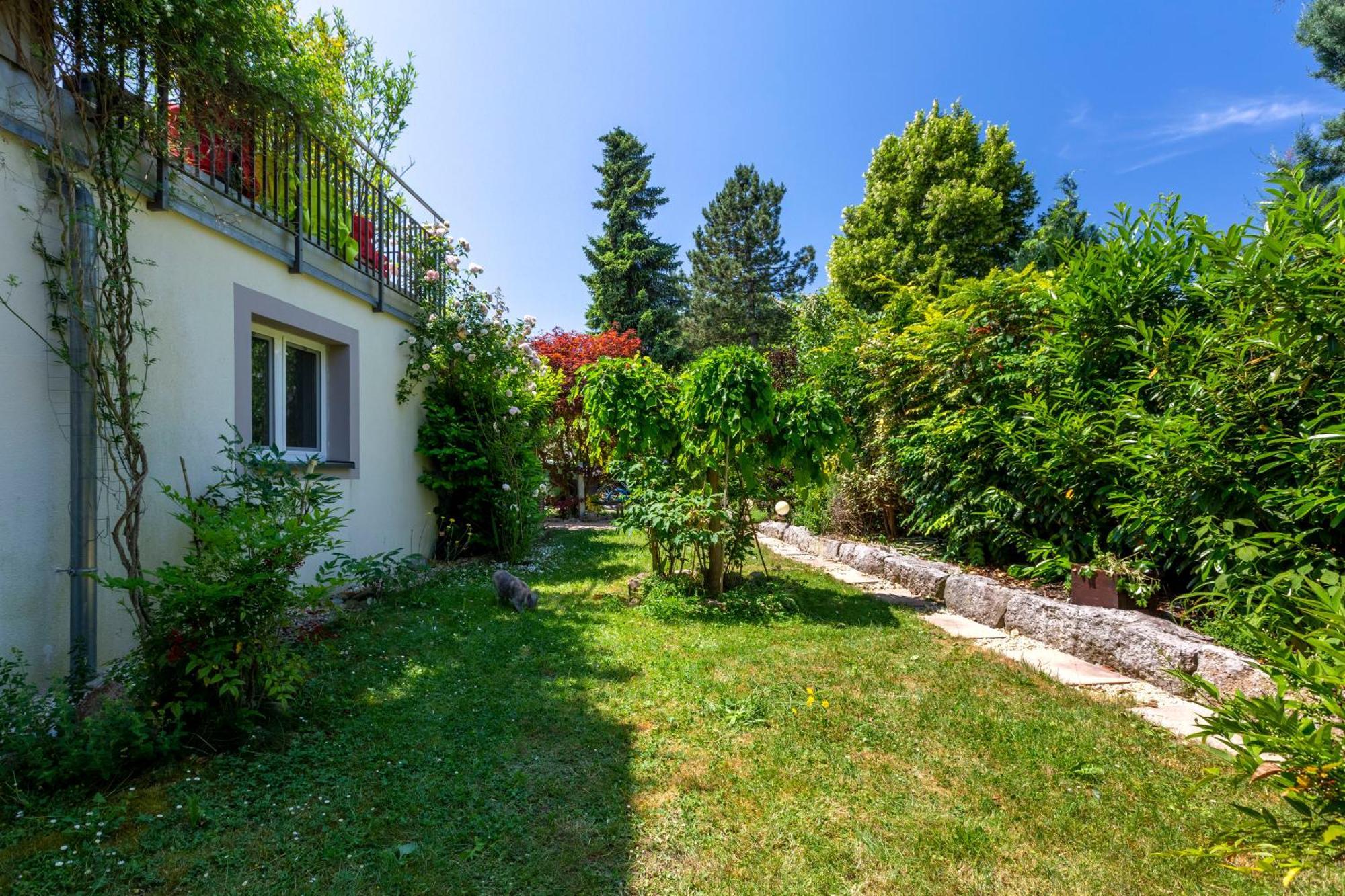 Bnb Comfort Guesthouse Olten - Lostorf Luaran gambar